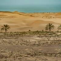 ساحل درک